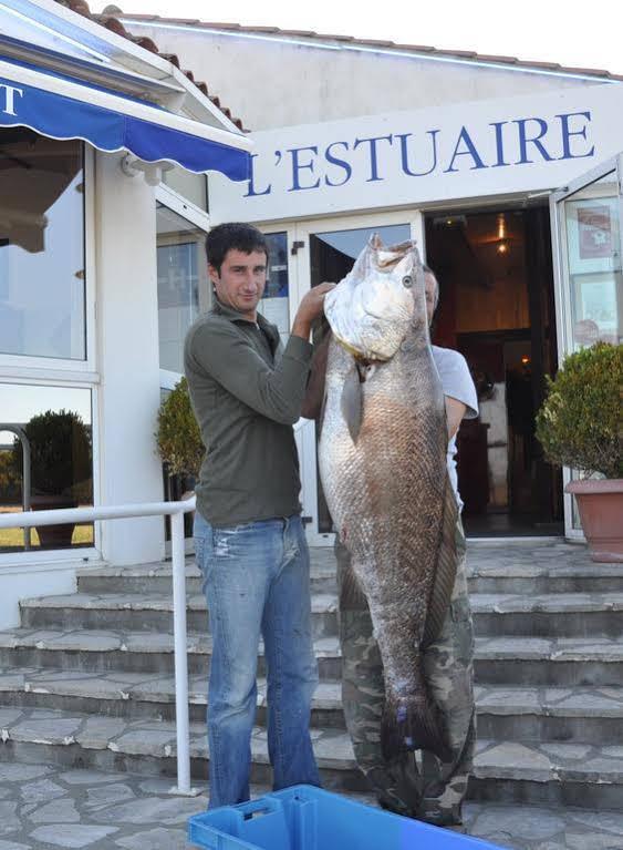 Hôtel L'Estuaire à Talmont-sur-Gironde Extérieur photo